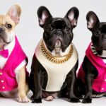 Discover Iconic Celebrity Dog Names for Your Unique Pup