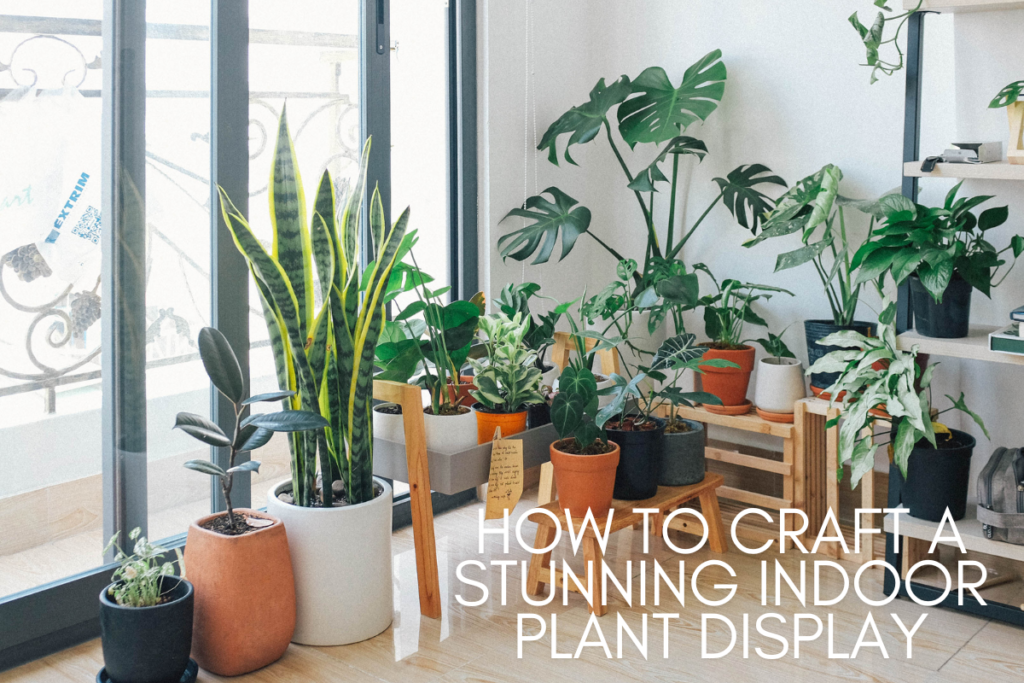 How to Craft a Stunning Indoor Plant Display for Your Home in 2025