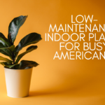 Low-Maintenance Indoor Plants for Busy Americans in 2025: A Guide to Effortless Greenery