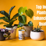 Top Indoor Plants for Enhancing Air Quality